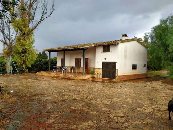 Foto 2 de Venta de casa rural en Es Garrovers de 4 habitaciones con terraza y piscina