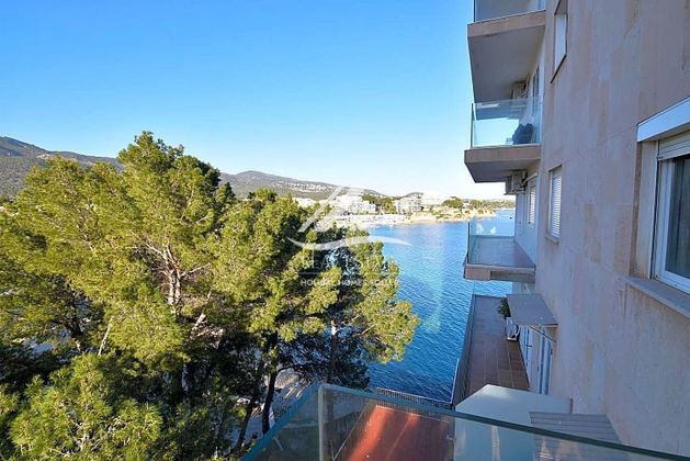 Foto 2 de Pis en venda a Palmanova de 4 habitacions amb terrassa i balcó