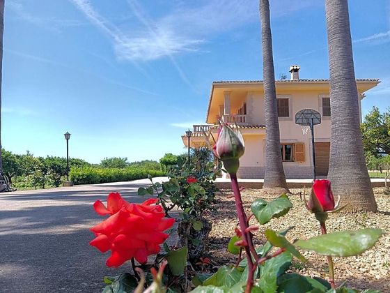 Foto 1 de Casa rural en venda a Establiments - Son Espanyol - Son Sardina de 5 habitacions amb terrassa i piscina