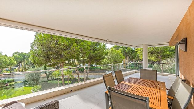 Foto 2 de Piso en venta en Sol de Mallorca de 3 habitaciones con terraza y piscina