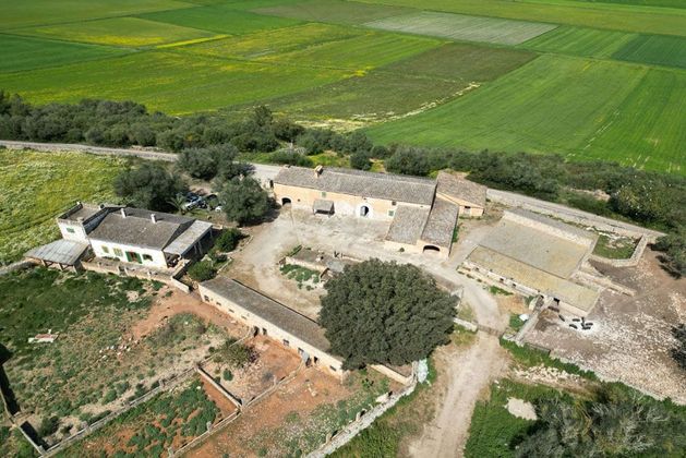 Foto 1 de Casa en venda a Vilafranca de Bonany de 7 habitacions amb terrassa i piscina