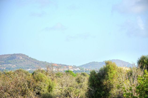 Foto 2 de Venta de terreno en Santanyí de 15903 m²