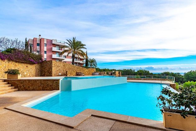 Foto 1 de Piso en alquiler en Sol de Mallorca de 3 habitaciones con terraza y piscina