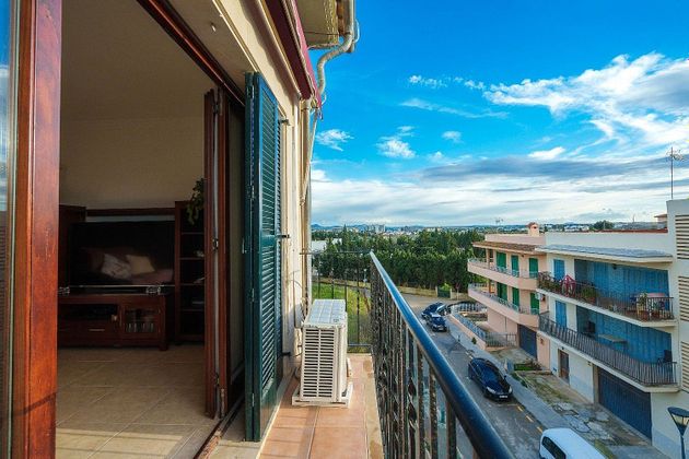 Foto 2 de Àtic en venda a Ciutat d'Alcúdia de 3 habitacions amb terrassa i garatge
