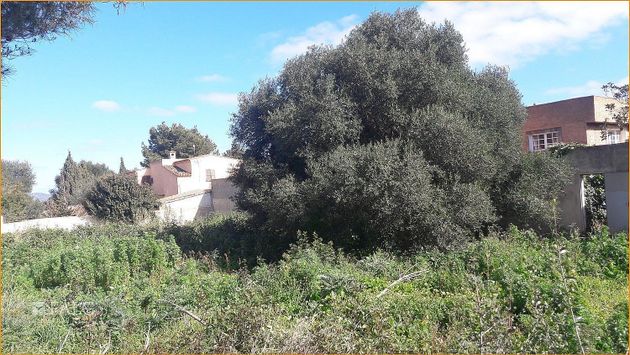 Foto 1 de Venta de terreno en Sant Llorenç des Cardassar de 881 m²