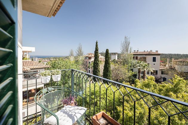 Foto 1 de Àtic en venda a Bellver - Son Dureta- La Teulera de 3 habitacions amb terrassa i piscina