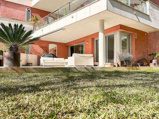 Foto 1 de Pis en venda a Sol de Mallorca de 3 habitacions amb terrassa i piscina