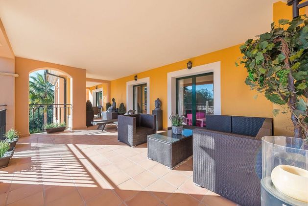 Foto 2 de Àtic en venda a Santa Ponça de 3 habitacions amb terrassa i piscina