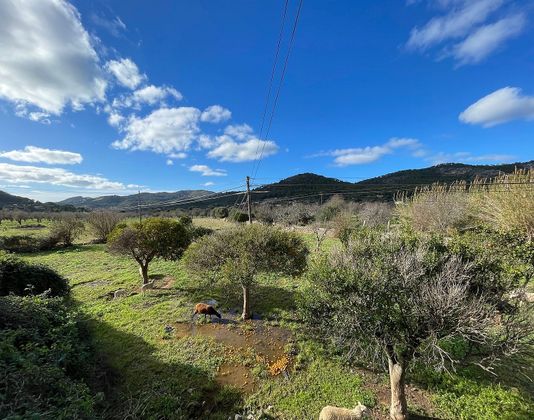 Foto 2 de Casa rural en venda a Andratx Pueblo de 4 habitacions i 259 m²