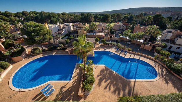 Foto 2 de Àtic en venda a Santa Ponça de 4 habitacions amb terrassa i piscina