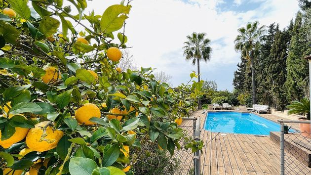 Foto 2 de Casa rural en venda a Algaida de 6 habitacions amb terrassa i piscina