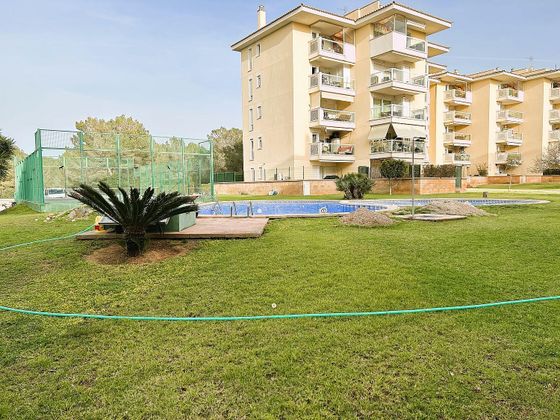 Foto 1 de Venta de dúplex en Maioris-Puig de Ros de 3 habitaciones con terraza y piscina