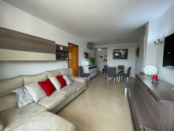 Foto 1 de Pis en lloguer a Ciutat d'Alcúdia de 3 habitacions amb terrassa i garatge