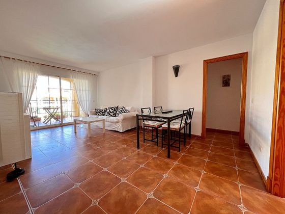 Foto 2 de Pis en venda a Maioris-Puig de Ros de 2 habitacions amb terrassa i piscina