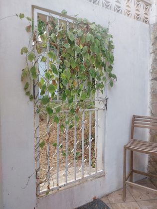 Foto 2 de Casa adossada en venda a Costa de la Calma de 2 habitacions amb terrassa i jardí
