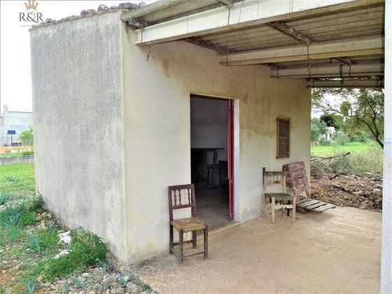 Foto 1 de Casa rural en venda a Binissalem de 1 habitació amb jardí i calefacció