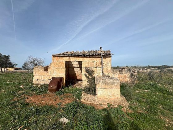 Foto 1 de Venta de terreno en Santa Margalida de 5387 m²