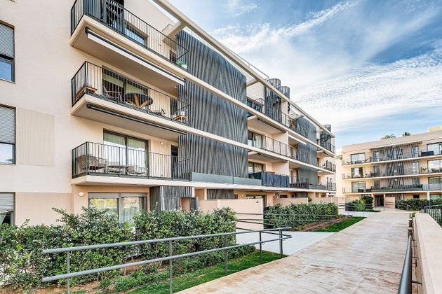 Foto 1 de Pis en venda a Estadi Balear - Rafal Nou - Son Malferit de 2 habitacions amb terrassa i piscina