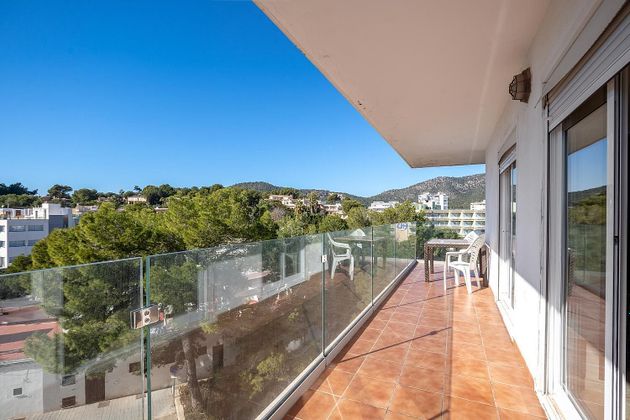 Foto 2 de Pis en venda a Palmanova de 4 habitacions amb terrassa i garatge