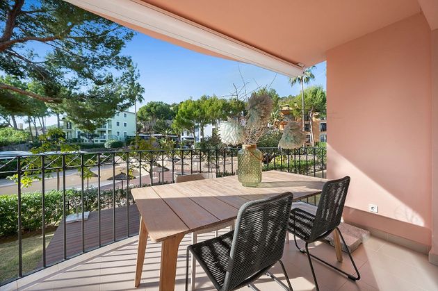 Foto 1 de Piso en venta en Es Camp de Mar de 4 habitaciones con terraza y piscina