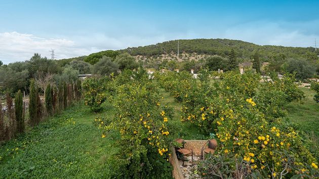 Foto 2 de Venta de casa rural en Calvià de 4 habitaciones con terraza y piscina