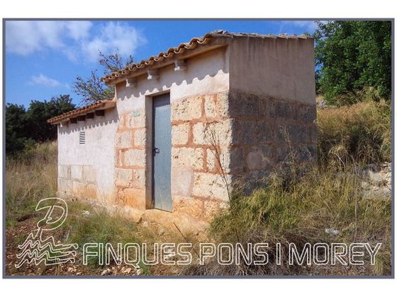 Foto 2 de Casa rural en venda a Son Amonda - Reis Catòlics de 1 habitació amb jardí