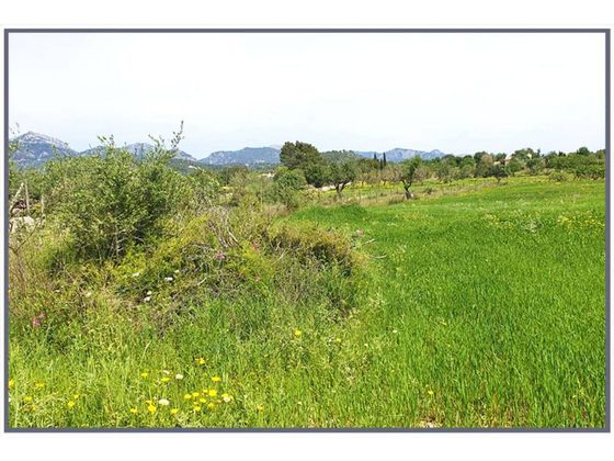 Foto 1 de Venta de terreno en Selva de 6900 m²