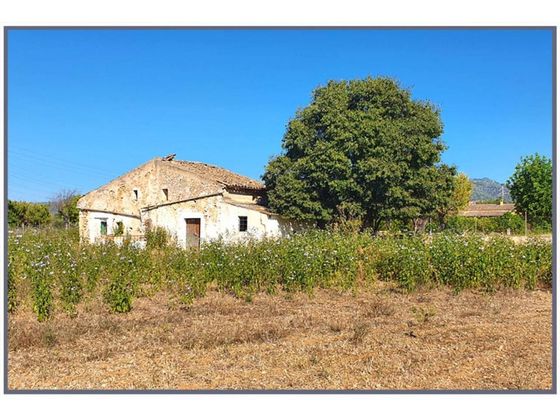 Foto 1 de Casa rural en venda a Son Amonda - Reis Catòlics de 2 habitacions amb terrassa i jardí