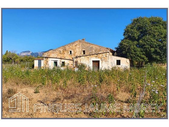 Foto 2 de Casa rural en venda a Son Amonda - Reis Catòlics de 2 habitacions amb terrassa i jardí