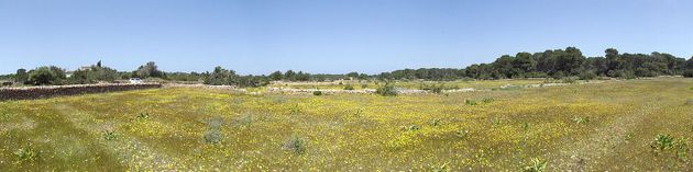 Foto 1 de Venta de terreno en Formentera de 25612 m²