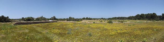 Foto 2 de Venta de terreno en Formentera de 25612 m²