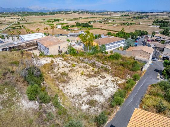 Foto 1 de Venta de terreno en Santa Margalida de 1305 m²