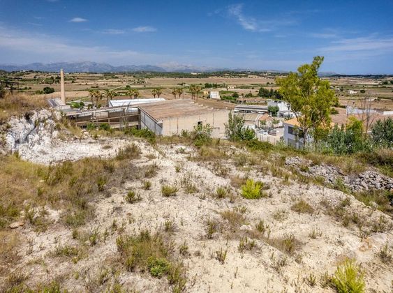 Foto 2 de Venta de terreno en Santa Margalida de 1305 m²