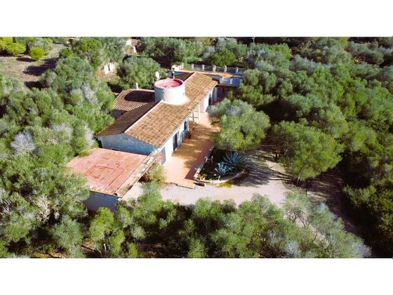 Foto 1 de Venta de casa rural en Salines (Ses) de 3 habitaciones con terraza y piscina