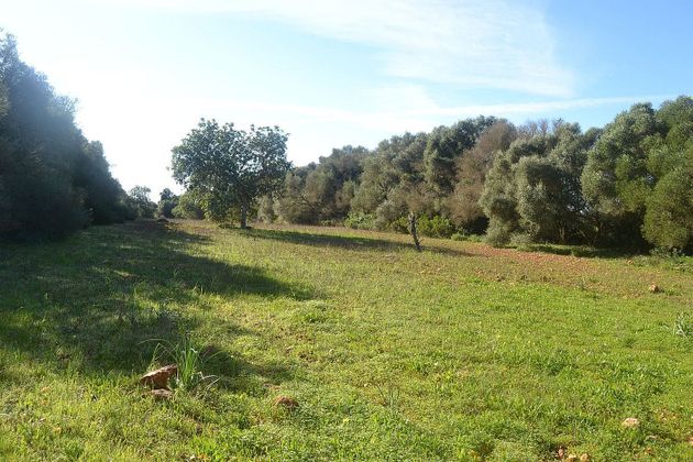 Foto 1 de Venta de terreno en carretera Campos Santanyi de 35219 m²
