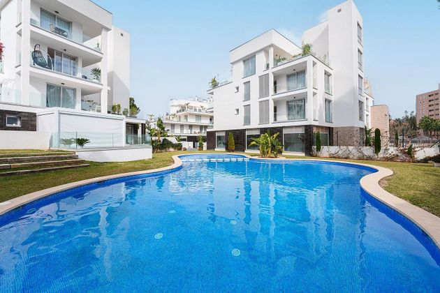 Foto 2 de Pis en venda a Palmanova de 4 habitacions amb terrassa i piscina