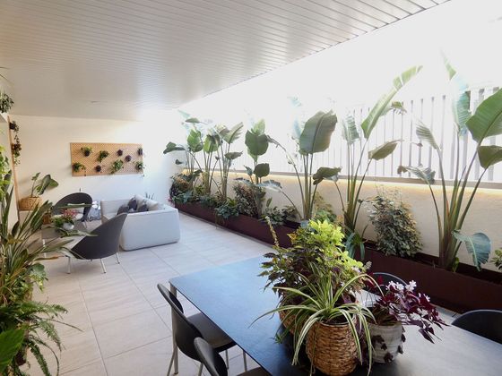 Foto 1 de Pis en venda a Son Rapinya - La Vileta de 5 habitacions amb terrassa i piscina