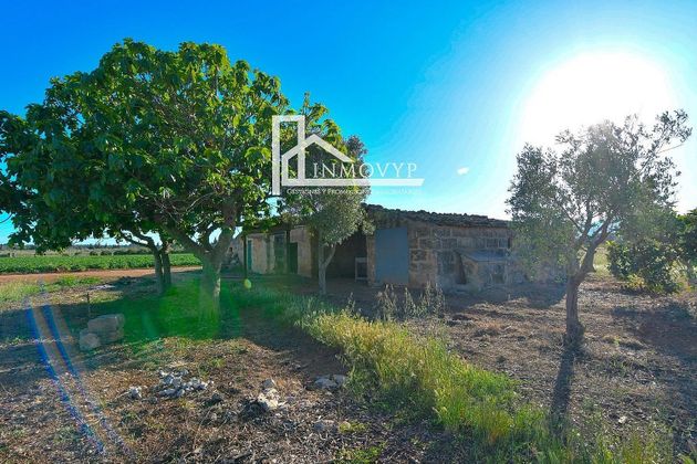 Foto 2 de Casa rural en venda a Llubí de 297 m²