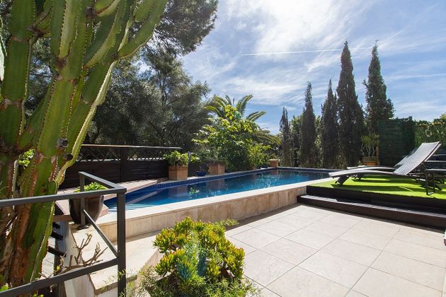 Foto 1 de Venta de casa en Palmanova de 7 habitaciones con terraza y piscina