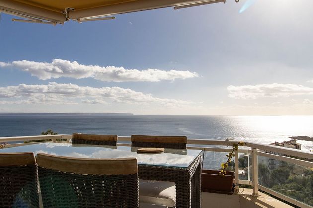 Foto 2 de Piso en venta en Cas Catala - Illetes de 1 habitación con terraza y piscina