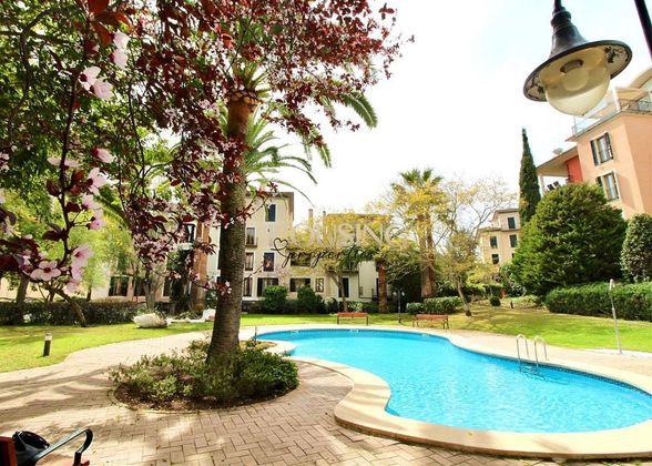 Foto 2 de Ático en venta en Bellver - Son Dureta- La Teulera de 4 habitaciones con terraza y piscina