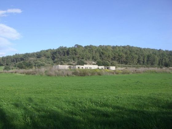 Foto 2 de Venta de terreno en Algaida de 53000 m²
