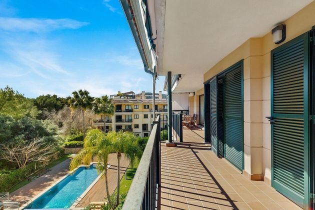 Foto 1 de Àtic en venda a Bellver - Son Dureta- La Teulera de 3 habitacions amb terrassa i piscina