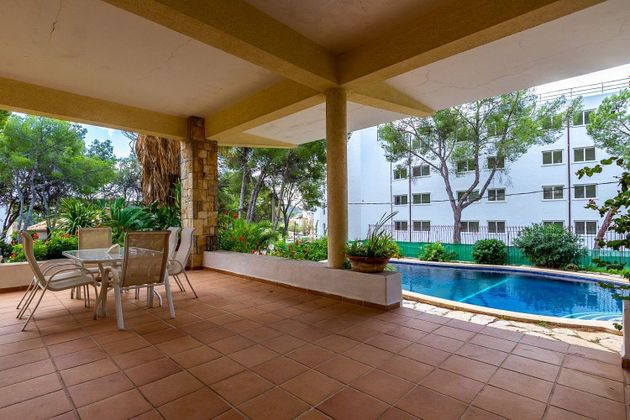 Foto 2 de Venta de chalet en Peguera de 4 habitaciones con terraza y piscina