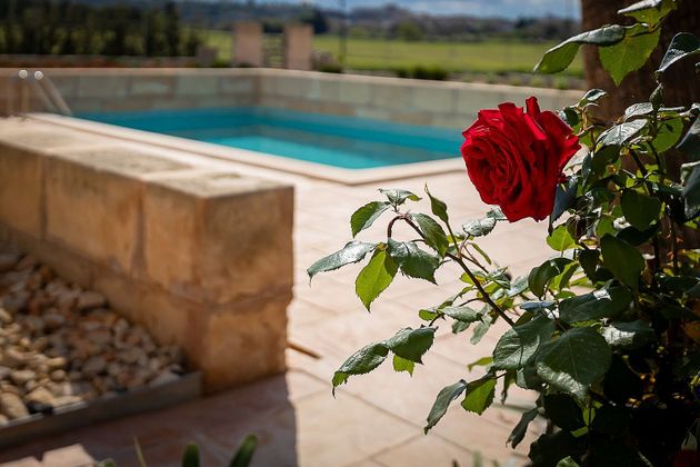 Foto 1 de Xalet en lloguer a Montuïri de 4 habitacions amb terrassa i piscina