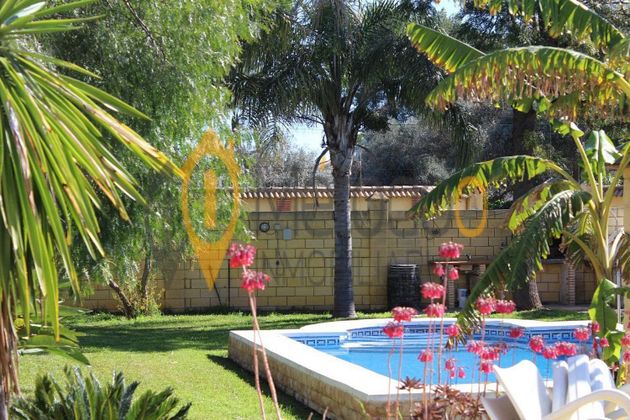 Foto 2 de Venta de chalet en Rinconada (La) de 3 habitaciones con piscina y jardín