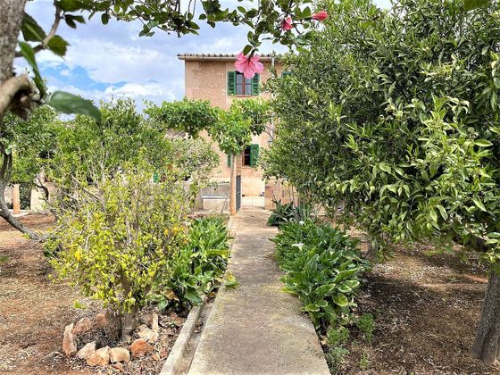 Foto 2 de Casa rural en venda a Sant Jordi - Son Ferriol de 5 habitacions amb terrassa i piscina