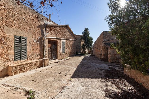 Foto 1 de Casa rural en venda a Sant Jordi - Son Ferriol de 10 habitacions amb jardí