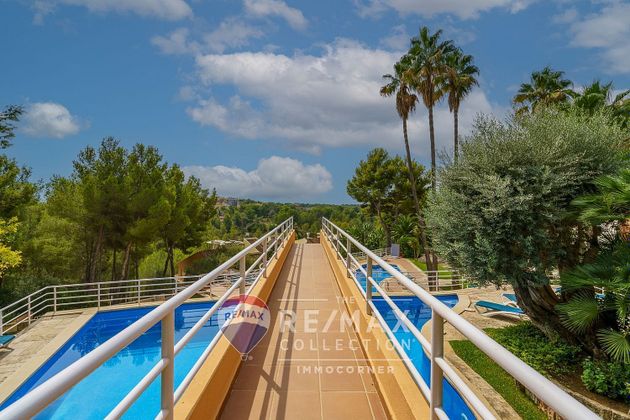 Foto 1 de Pis en venda a Cas Catala - Illetes de 3 habitacions amb terrassa i piscina