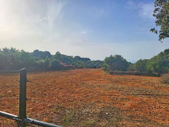 Foto 2 de Venta de terreno en Algaida de 15000 m²